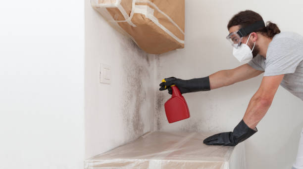 Professional Mold Remediation technician working in Port Washington North, NY